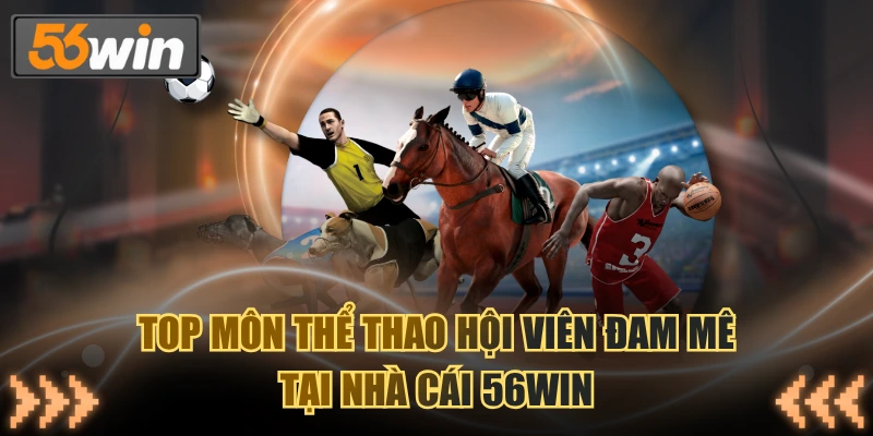 Top các bộ môn được phần lớn thành viên đam mê tham gia giải trí